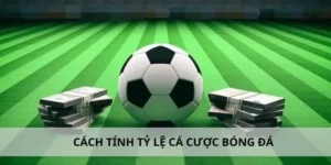 Chinh Phục Đỉnh Cao Cá Cược Bóng Đá Gi8 Với Tỷ Lệ Thưởng Lớn