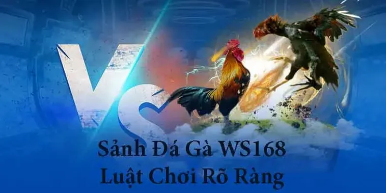 Hướng Dẫn Chơi Đá Gà WS168 Gi8 Từ A Đến Z Thắng Lớn 2 Hướng Dẫn Chơi Đá Gà WS168 Gi8 Từ A Đến Z Thắng Lớn