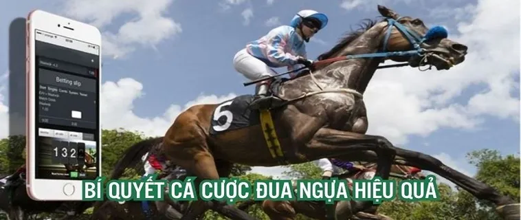Bí Quyết Cá Cược Đua Ngựa Gi8 Mang Lại Lợi Nhuận Khổng Lồ 2 Bí Quyết Cá Cược Đua Ngựa Gi8 Mang Lại Lợi Nhuận Khổng Lồ